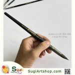 Cọ Vịnh Hạ Long- 18