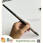 Cọ Vịnh Hạ Long- 20