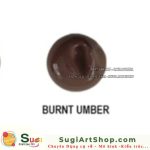 046-200ML-BURNT UMBER
