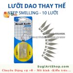VĨ 10 LƯỠI DAO KEEP