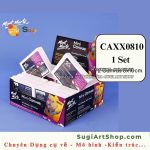 2 Cái Canvas 8x10 cm