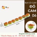 BỤI CỎ - ĐỎ CAM 06