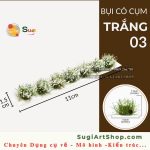 BỤI CỎ - TRẮNG 03